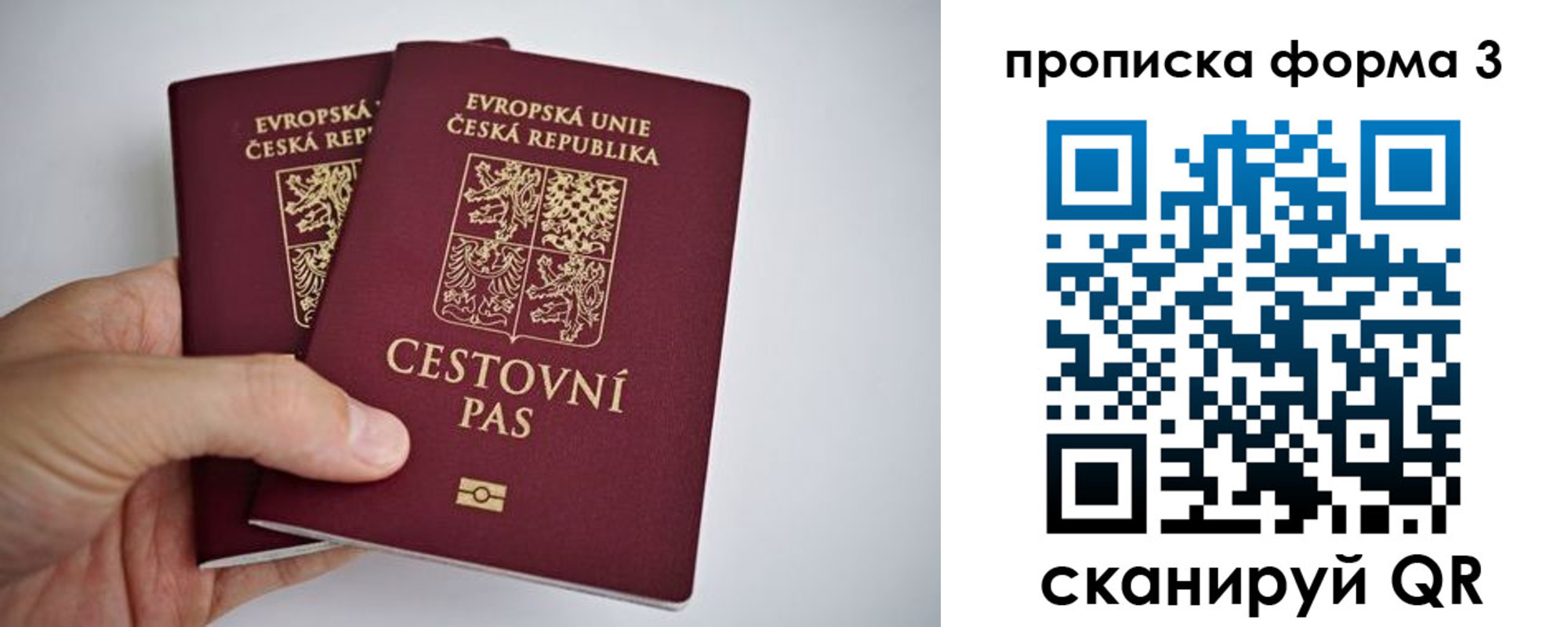 регистрация для школы в Свердловской области